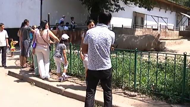 Дети зоопарка смотреть онлайн