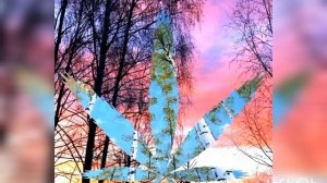 Белая берёзонька.Караоке.