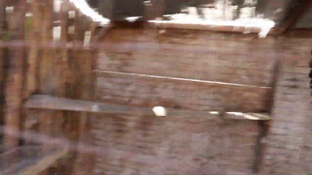 Мальчик лет 3-х перекричал петухов:) !!! Бахчисарайский парк миниатюр смотреть онлайн