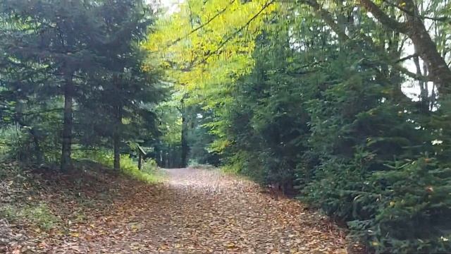 Кавказский государственный природный биосферный заповедник смотреть онлайн