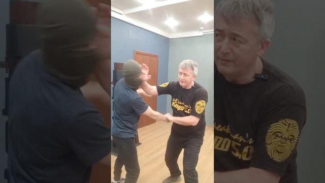 Вин Чун и Кенпо против прямого в голову