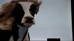 DOJA CAT-MOO