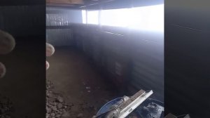 Сарай для коров из профнастила