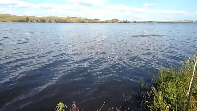 лето пришло. едем на природу смотреть онлайн