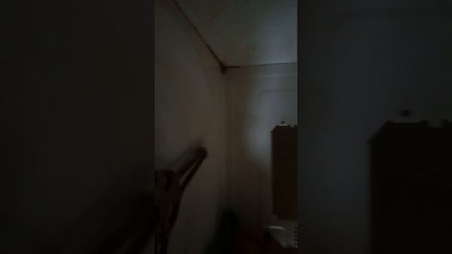 Greenway. Чем отмыть микроволновку быстро? смотреть онлайн