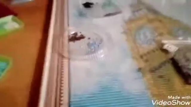 Что я делаю вечером или в свободное время?