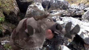 Дикая природа Дальнего Востока В 4 К 60 fps природа на озере амут