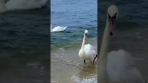 иртэлэр хэерле,коннэр имин булсын!