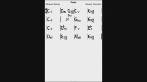 Sugar. Минус. Видео от 8.07.2023г.