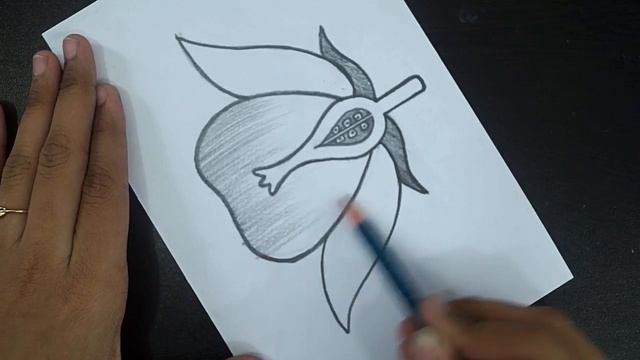 How To Draw Longitudinal Section Of Flower || How To Draw Flower Diagram || Step By Step смотреть онлайн