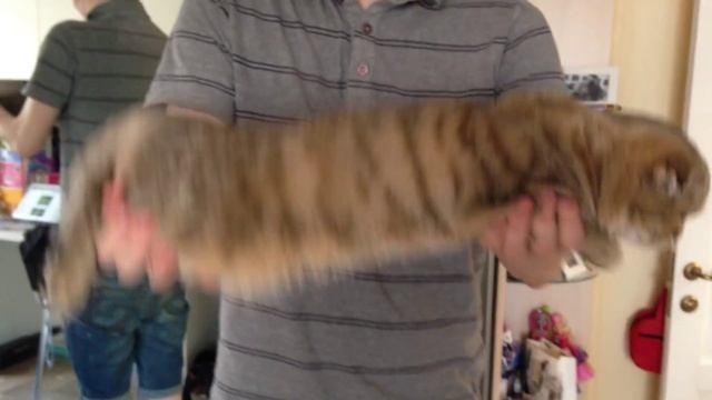 VLOG/ПИЦЦА/Музыка/гуляем с Валерой смотреть онлайн