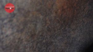 Новая отделка для стен. Стеновые панели для звукоизоляции. Новый интерьер за 1 день. (18+)