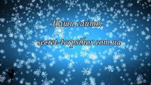 Отзыв учасиници семинара "Танцевальное конфетти. Танцы для дошкольников "