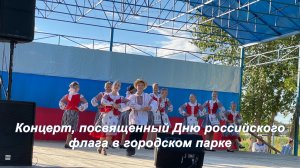 Концерт, посвященный Дню российского флага в городском парке