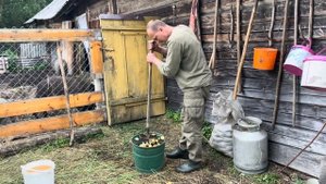 В ГОСТЯХ У  БЛОГЕРА АНТОХИ. НА СВАДЬБЕ ДИКОГО КАБАНА РАФА И ПЕПЫ