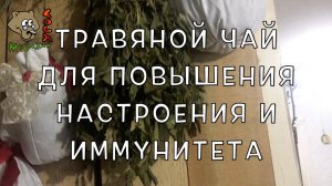 Травяной чай для повышения настроения и укрепления иммунитета