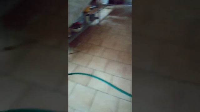 Сочи сияет, но пахнет канализацией