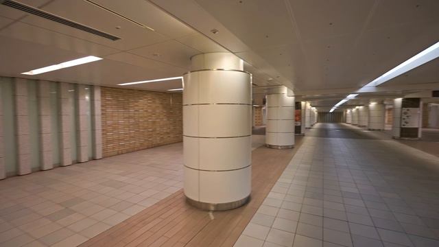 2K・ Затерянный в Токийских подземелье смотреть онлайн