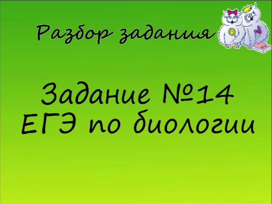 Биология. Разбор 14 заданий ЕГЭ по биологии. Орган зрения