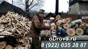 Винтовой дровокол, двухзаходный конус ❗для дровокола  с доставкой по РФ ✈ с оплатой при получении !