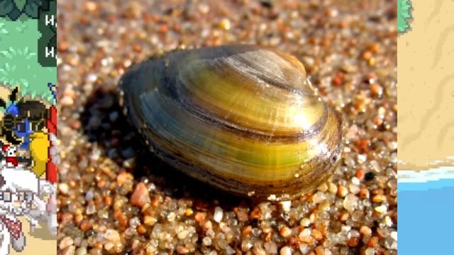 PONY TOWN: ОБЗОР ОБНОВЛЕНИЯ 0.96.9 | ИЗМЕНЕННЫЙ СПАВН ЖЕМЧУЖИН смотреть онлайн