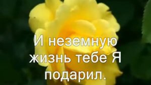 От раннего утра # песня rus