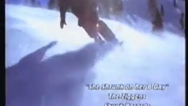 Have fun with Snowblades ( Salamon, Freestyle, Skiing ) смотреть онлайн