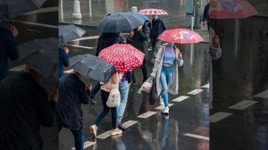 Сергей Одинцов (А птицы ? улетели)