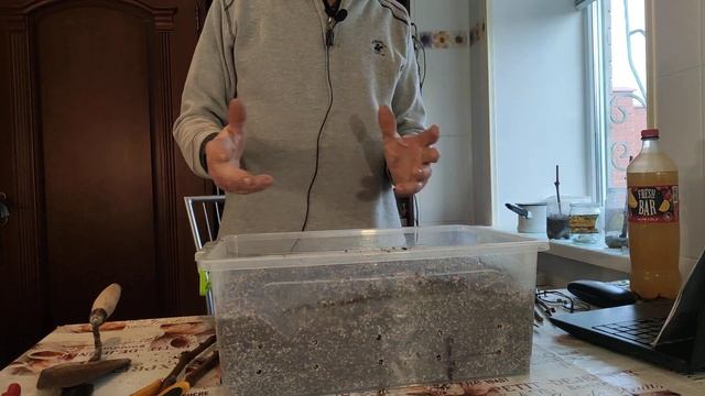 Когда начинать укоренять черенки винограда и инжира. Укоренение черенков в перлите+кокосовая стружк смотреть онлайн