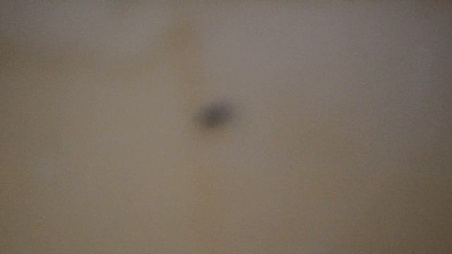 Весёлый паучок смотреть онлайн