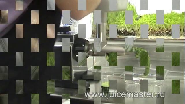 Шнековая соковыжималка Krefft