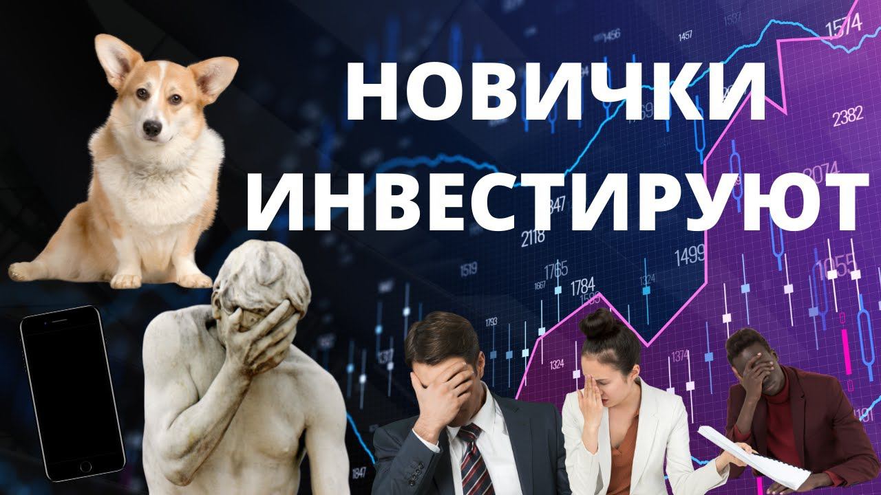 Куда инвестировать в сентябре 2021? С чего начать инвестировать с нуля. Инвестпортфели новичков