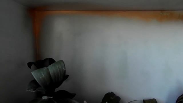 Отвечаю на вопрос как я поливаю орхидеи. Почему после полива орха сбрасывает цветы. смотреть онлайн