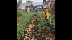 Владимиров И., ученик 3 Б класса - участник акции "С праздником, папа!" #ДеньотцаРДШ2023 #сош2Чеб