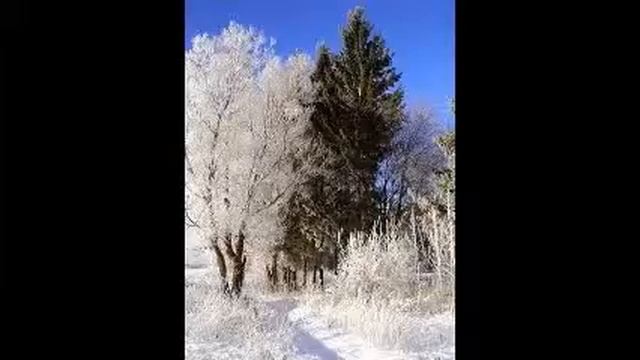 Зимушка -зима смотреть онлайн