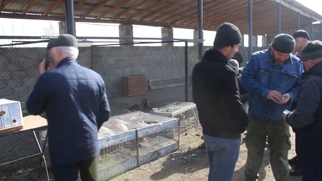 Открытие птичьего  рынка