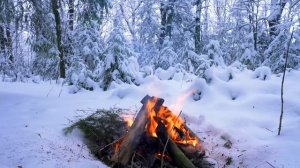 ? Музыка огня! Костер в зимнем лесу. Звуки потрескивания огня и горящих палений ?