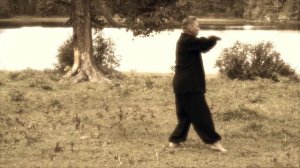 Тайцзи стиля Чень. Владимир Осипов.