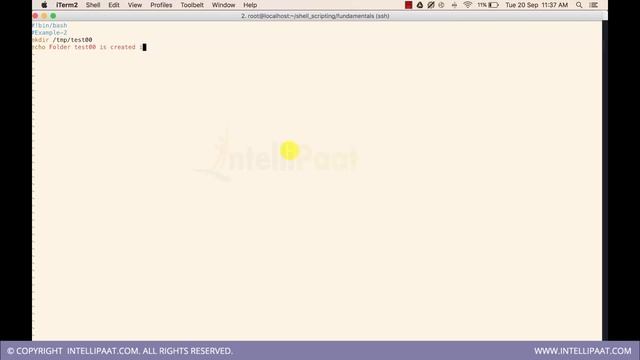 Shell Scripting Tutorial | Linux Tutorial | Shell Scripting Training | Intellipaat
