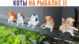 КОТЫ НА РЫБАЛКЕ (в аквариуме) ))) | Приколы с котами | Мемозг 1312