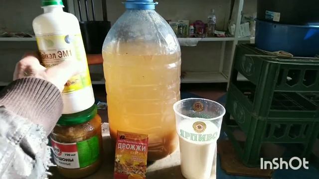 Развиваем корневую цитрусов ,разрыхлитель почвы Байкал М-1инструкция применения и изготовления. смотреть онлайн