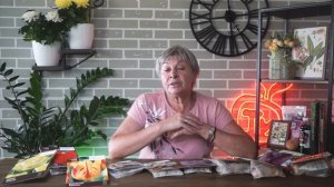 Какие Тюльпаны выбрать ✔️ Сорта тюльпанов ✔️ Советы от Hitsad TV