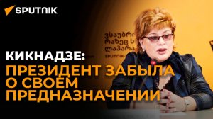 Кикнадзе: референдум не выгоден оппозиции, а президент забыла о своем предназначении