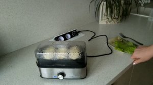 ProfiCook. Полезная и вкусная еда без забот.