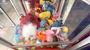 Выиграл  большую акулу  в аппарате хватайка