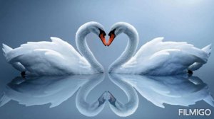 А сердце тук-тук-тук стучит от счастья