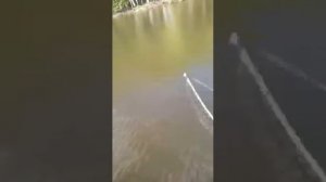 Рыбалка в Жестылево 11.05.2016