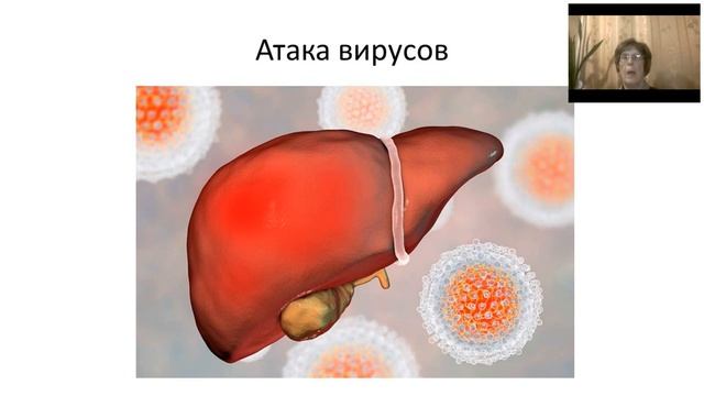 Печень. Друзья и враги. Здоровье без лекарств с Натальей Пашковой.