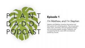 Ep. 1 - I'm Matthew, and I'm Stephen