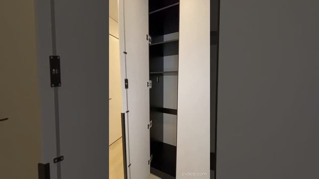 Шкаф распашной Встроенный